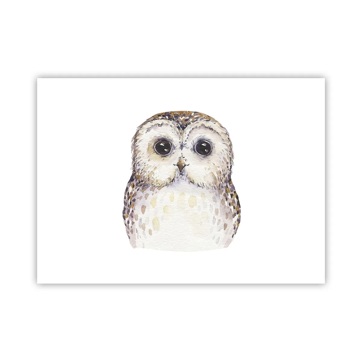 Poster - Kijk in mijn ogen - 70x50 cm