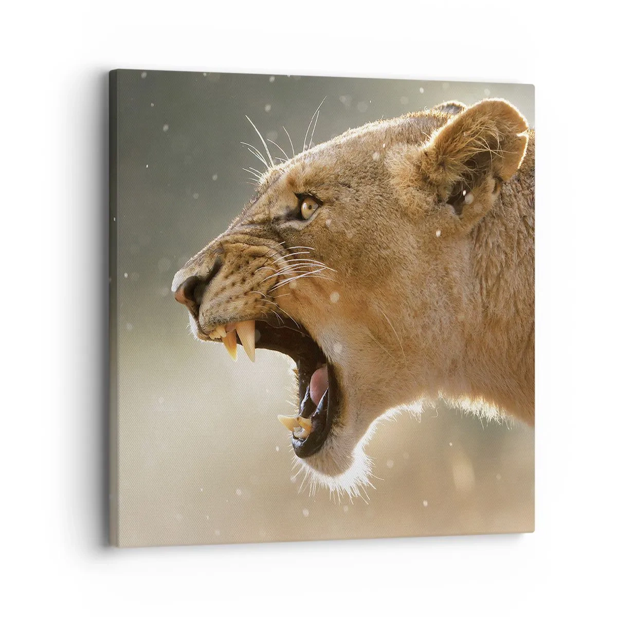 Schilderen op canvas - Probeer niet te luisteren - 30x30 cm