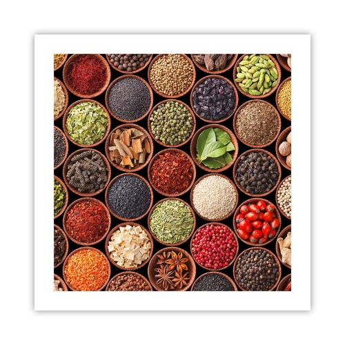 Poster - Alle smaken van de wereld - 50x50 cm