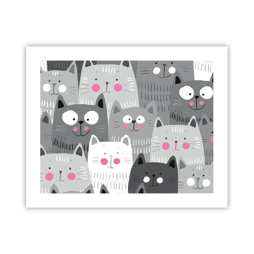 Poster - De wereld van de kat - 50x40 cm