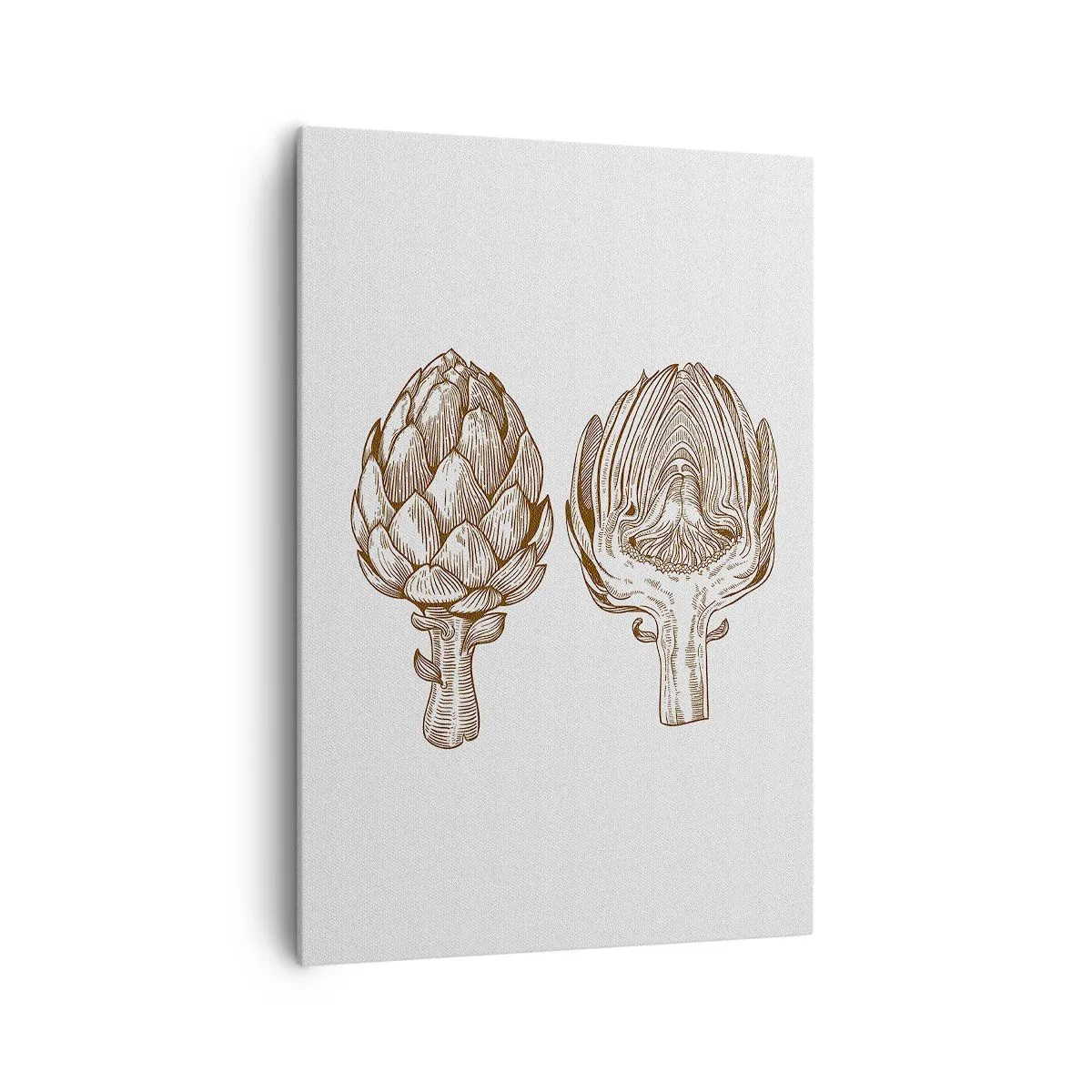 Schilderen op canvas - Anatomieles - 70x100 cm