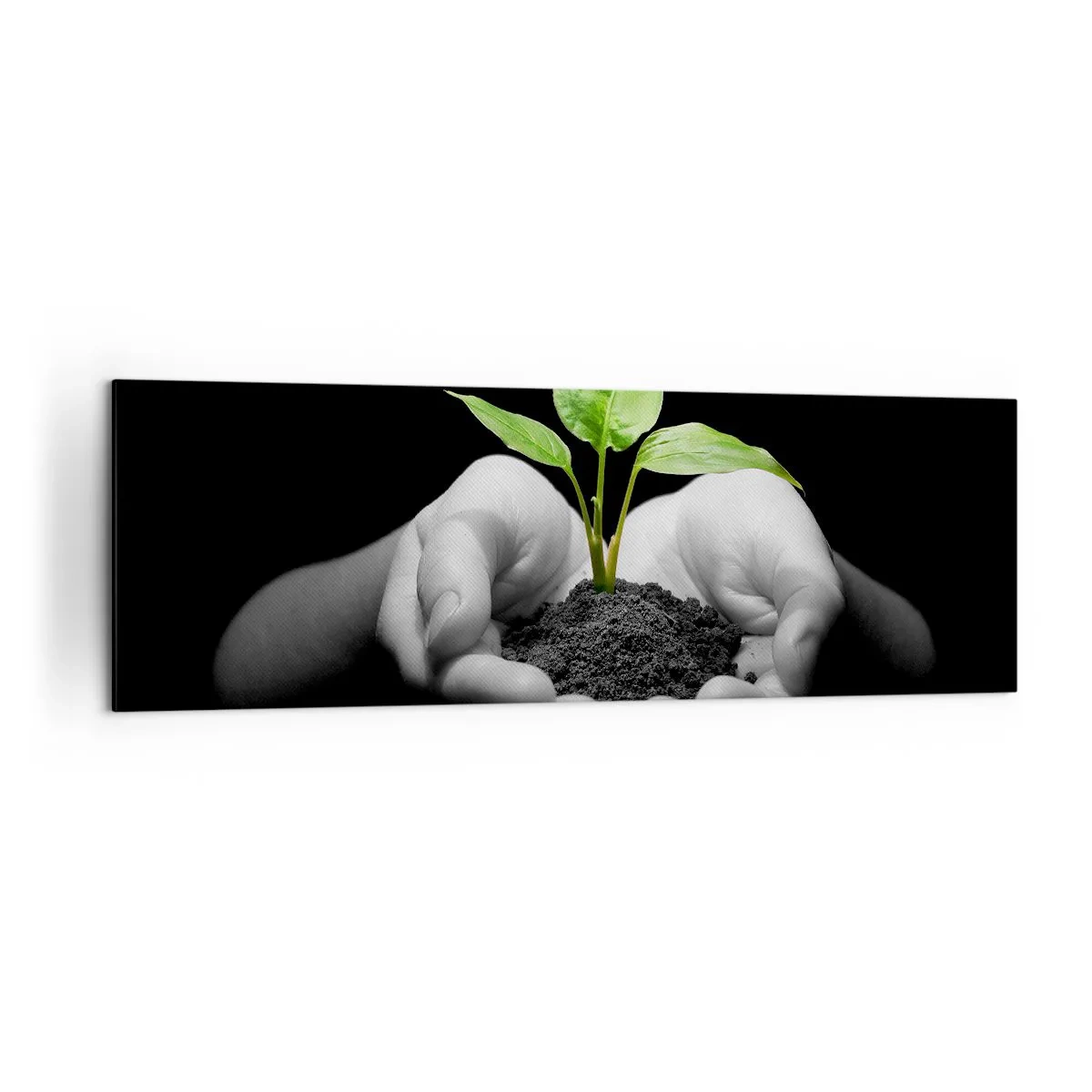Schilderen op canvas - Ik hou van de natuur, ik bescherm haar - 160x50 cm