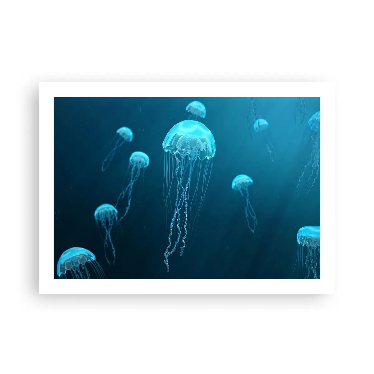 Poster - Oceaandans - 70x50 cm