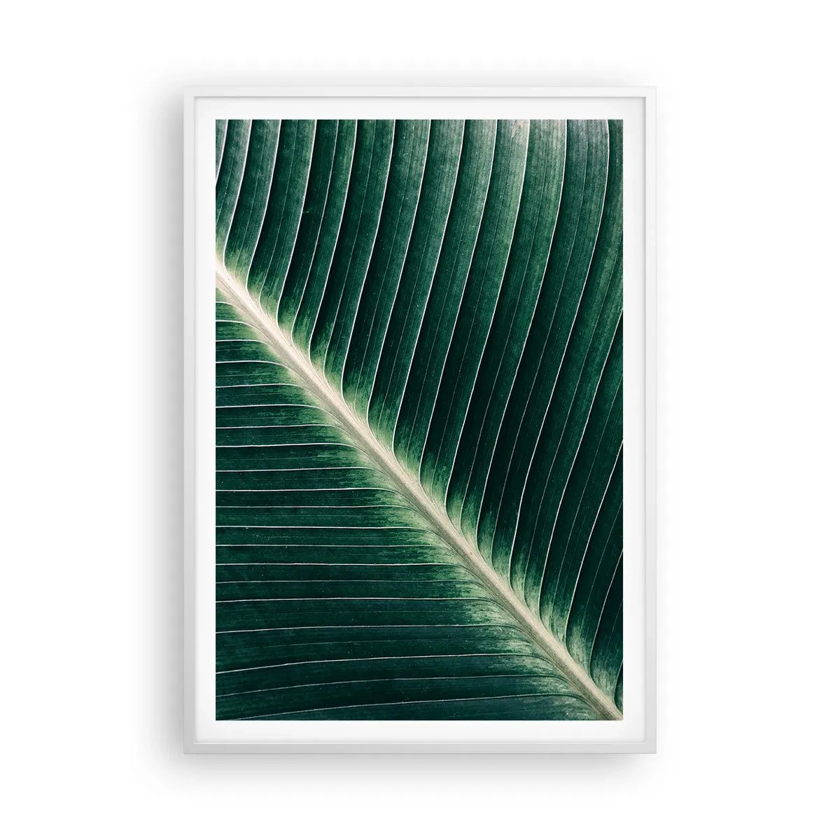 Poster in een witte lijst - Het ritme van de natuur - 70x100 cm