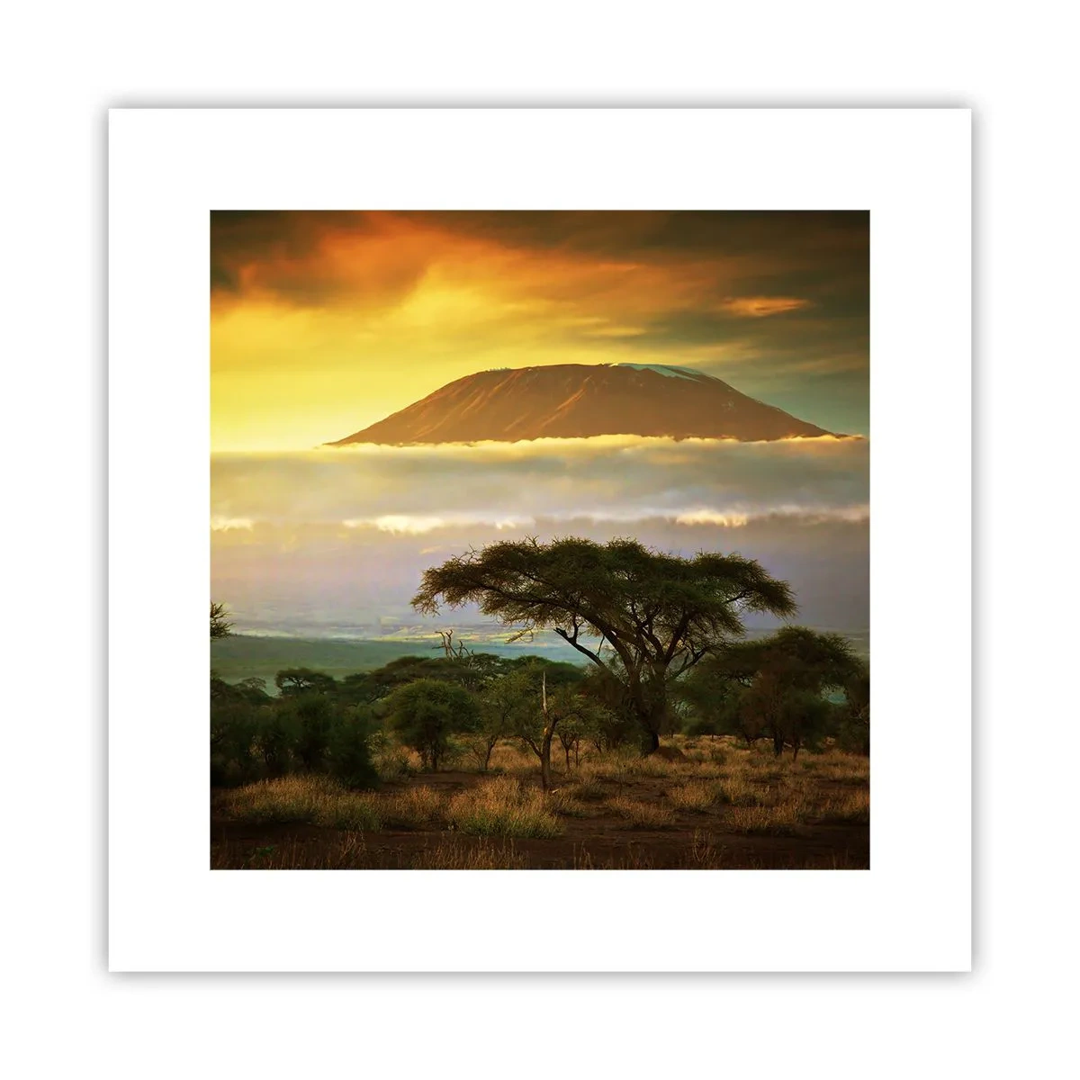 Poster - Een reizigersdroom - 30x30 cm