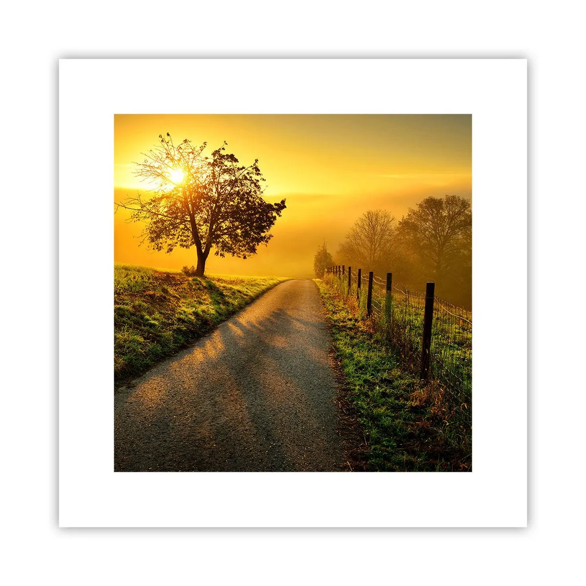 Poster - Honingmiddag - 30x30 cm