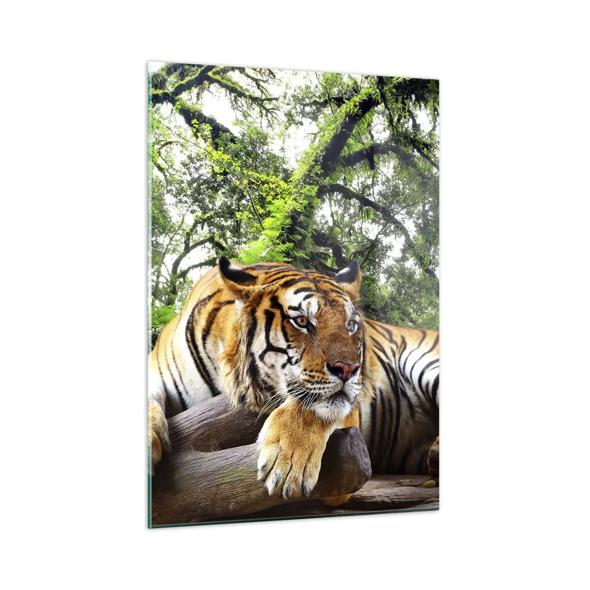 Schilderen op glas - Met vriendelijke groet - 50x70 cm