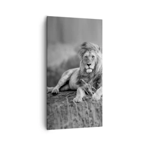 Schilderen op canvas - Koninklijke siësta - 55x100 cm