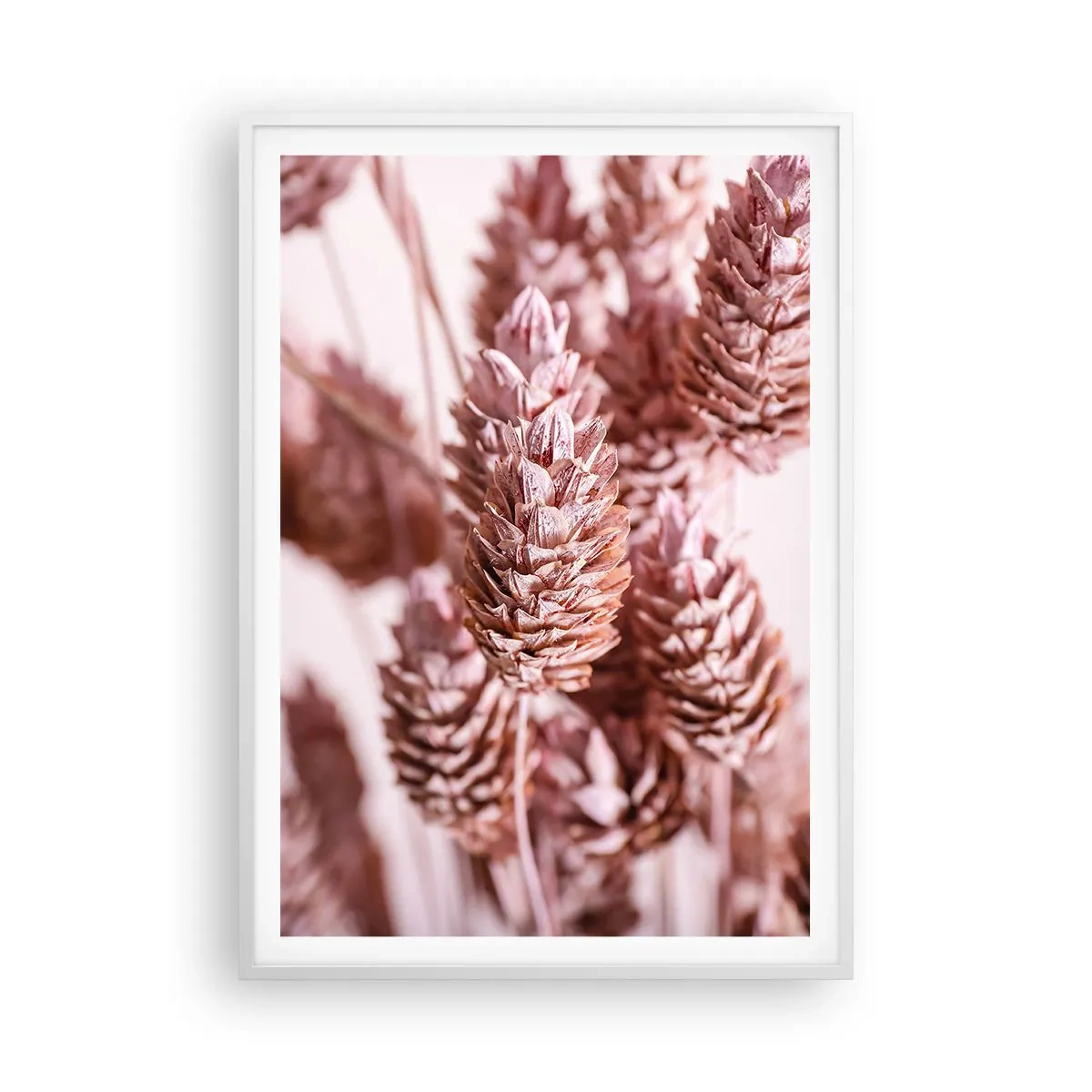 Poster in een witte lijst - Schijnbaar onopvallend - 70x100 cm