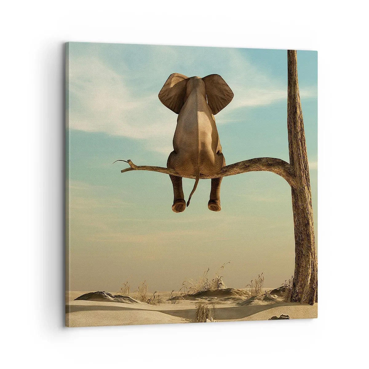 Schilderen op canvas - Een nieuw gezichtspunt - 60x60 cm