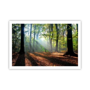 Poster - Lichten en schaduwen - 91x61 cm