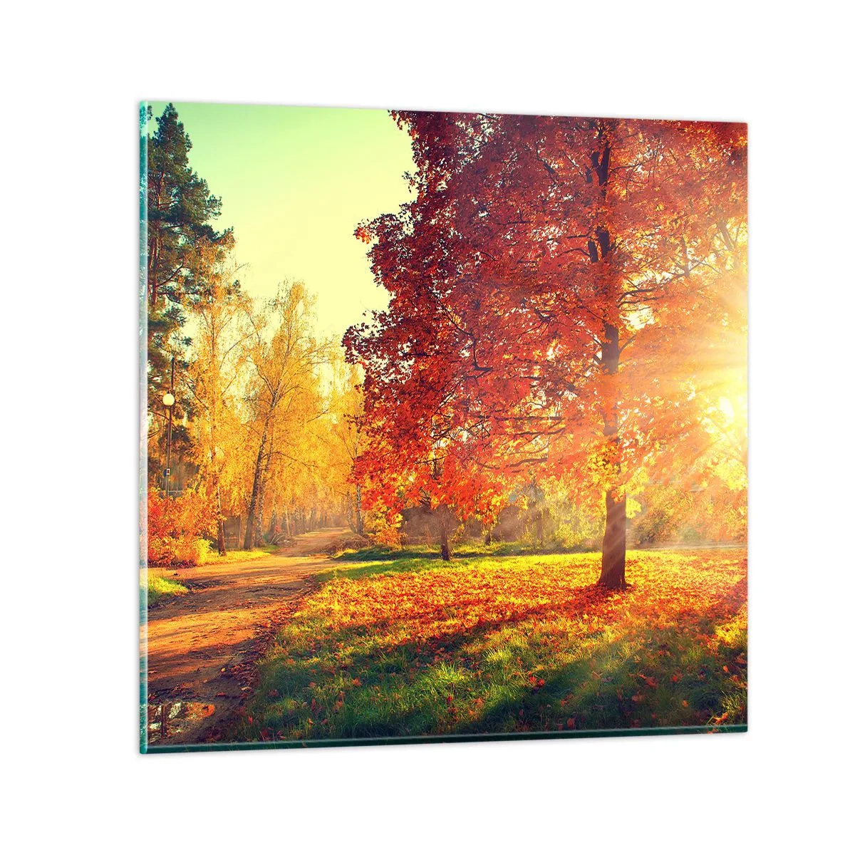 Schilderen op glas - Rood is mooi - 60x60 cm