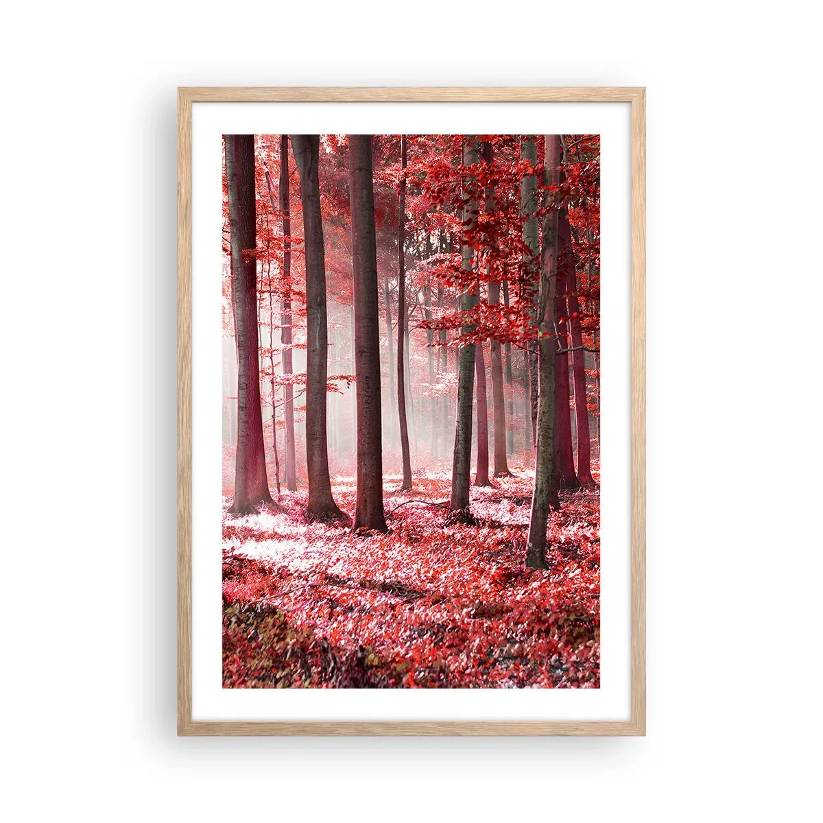 Een poster in een licht eiken lijst - Rood is net zo mooi - 50x70 cm