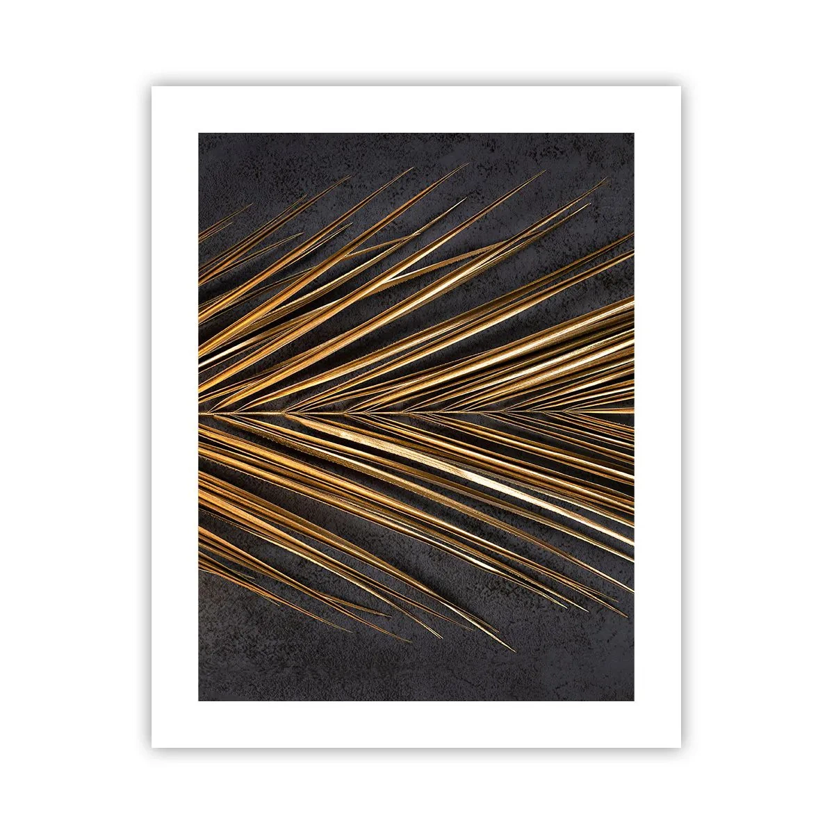 Poster - Het goud van de tropen - 40x50 cm