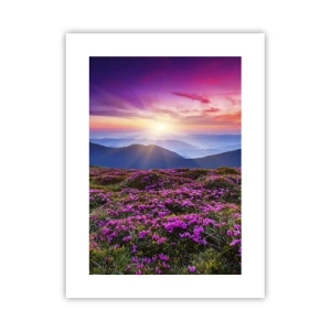 Poster - Kruiden roken naar verse trossen van de velden - 30x40 cm