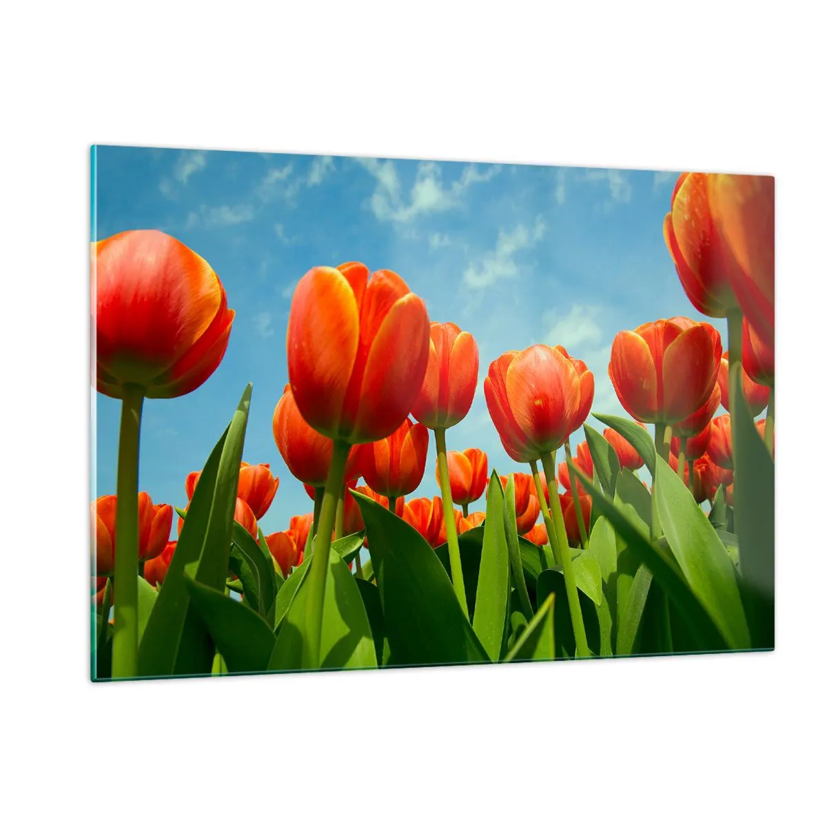 Schilderen op glas - Afgezien van de blauwe lucht hebben ze niets nodig in hun leven - 120x80 cm