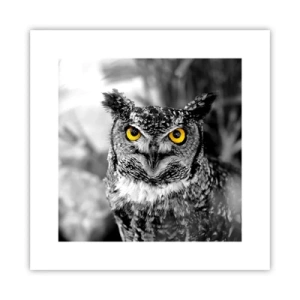 Poster - Niets zal zich verbergen - 30x30 cm