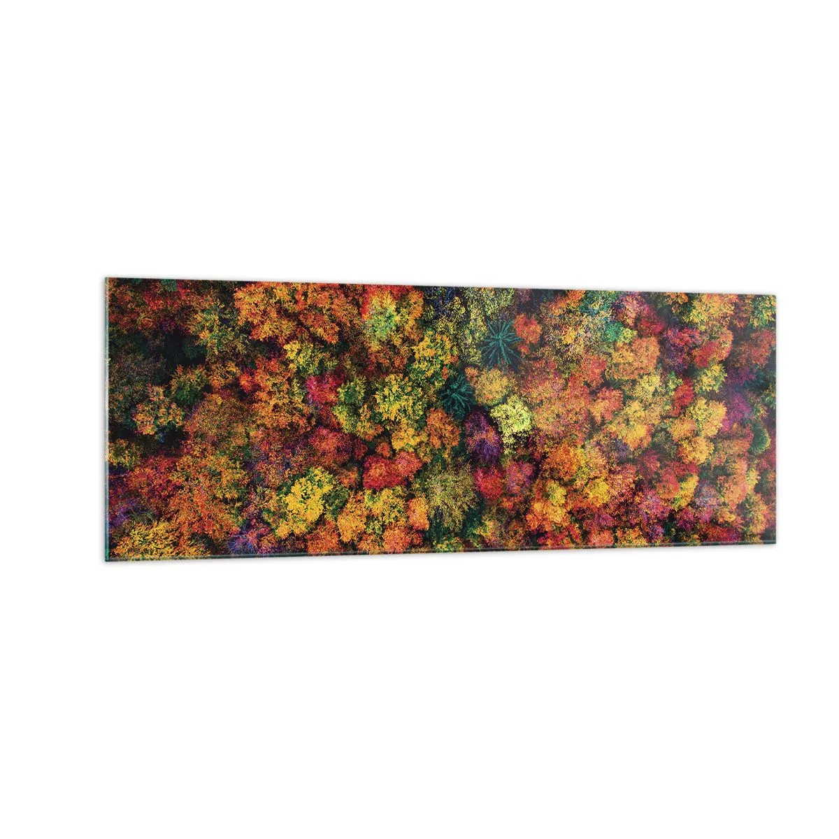 Schilderen op glas - Boeket herfstbomen - 140x50 cm