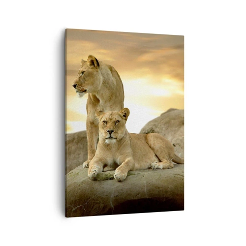 Schilderen op canvas - Koninklijke majesteit - 50x70 cm