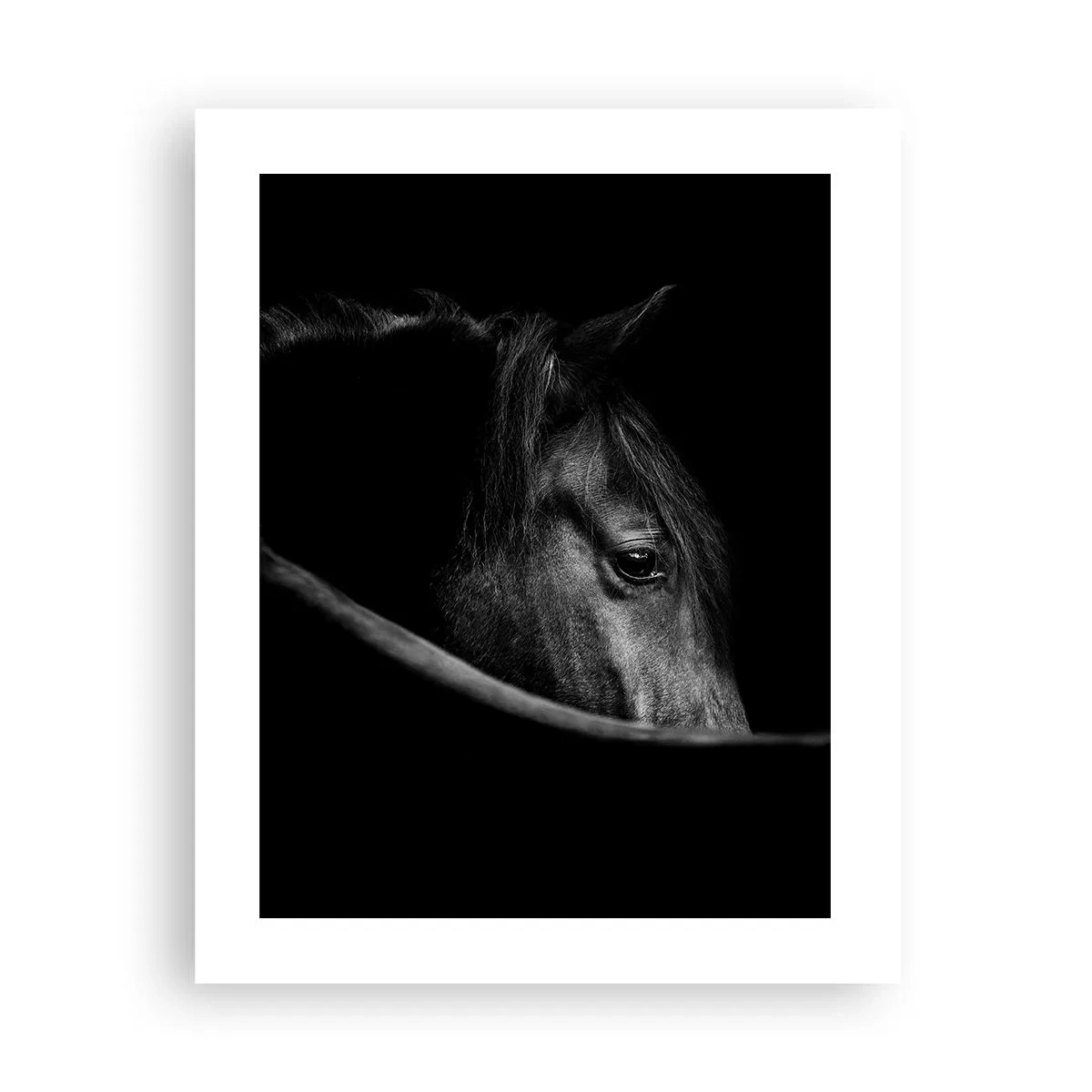 Poster - Zwarte Prins - 40x50 cm