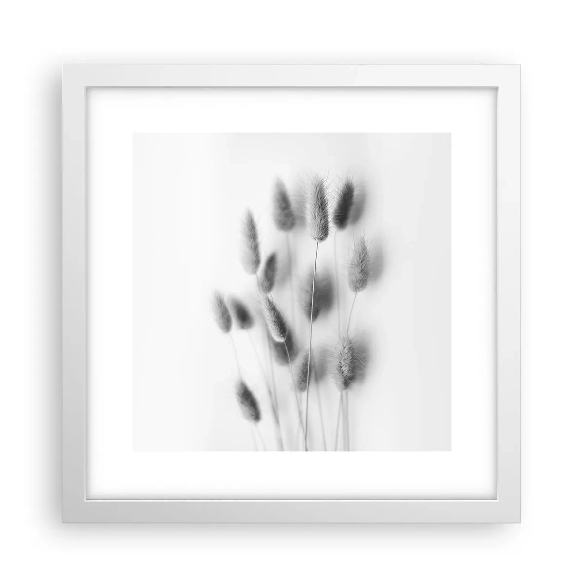 Poster in een witte lijst - Haar luchtigheid gras - 30x30 cm