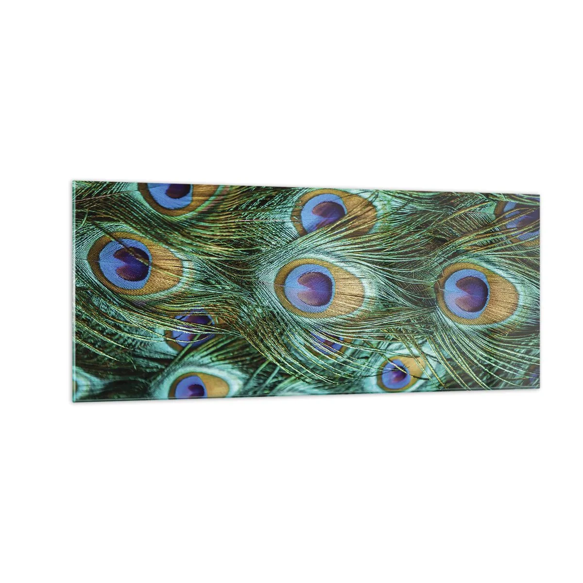 Schilderen op glas - Een pauwenooglook - 100x40 cm