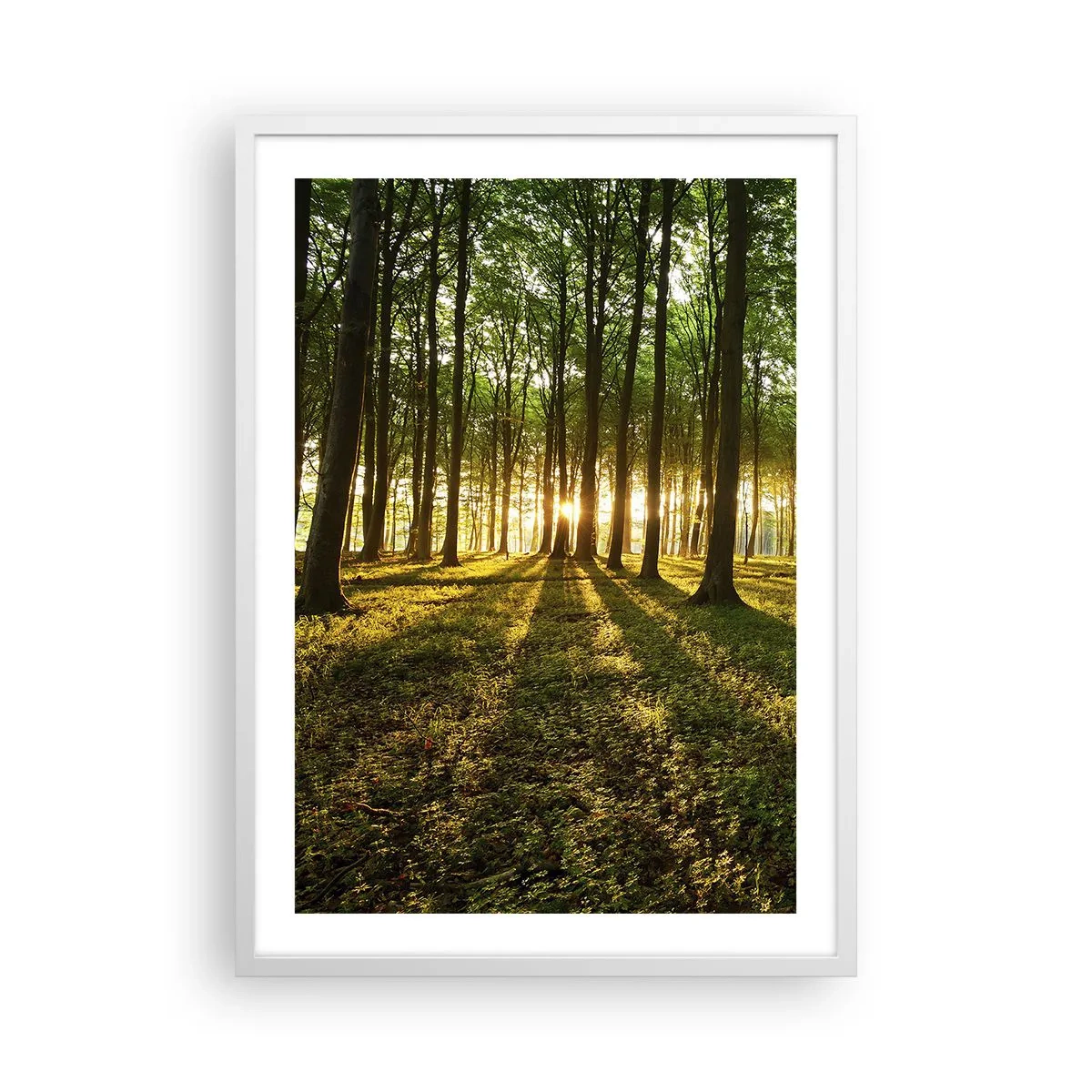 Poster in een witte lijst - Foto van de hele lente - 50x70 cm