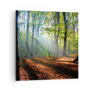 Schilderen op canvas - Lichten en schaduwen - 50x50 cm