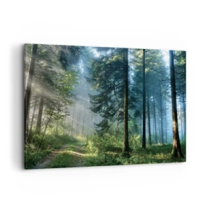 Schilderen op canvas - Stralend in de ochtend - 100x70 cm