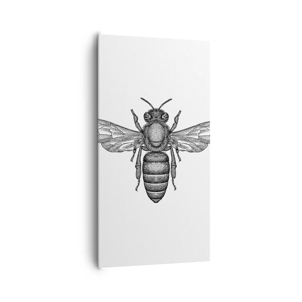 Schilderen op canvas - Insectenportret - 65x120 cm