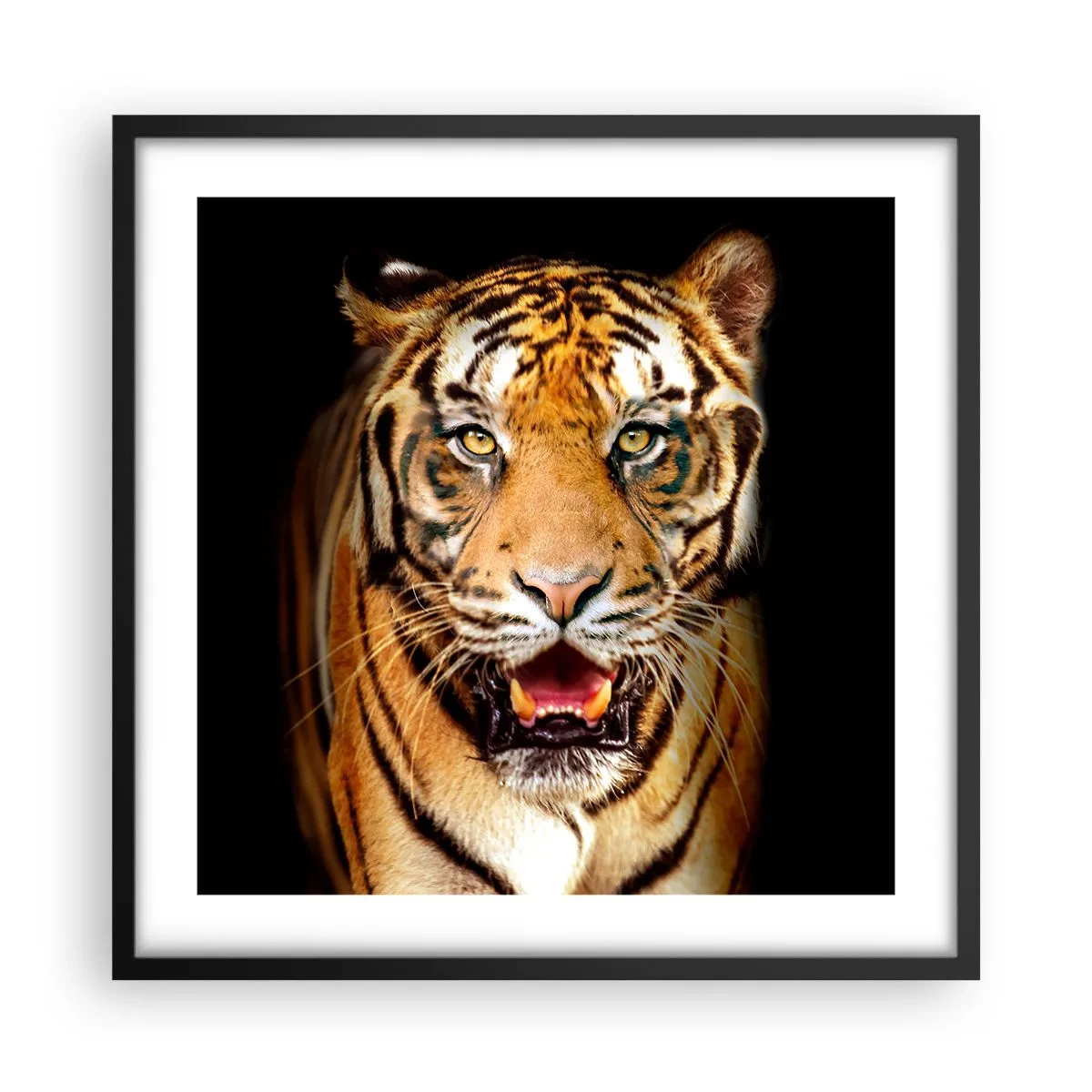 Poster in een zwarte lijst - Wildheid in het hart - 50x50 cm