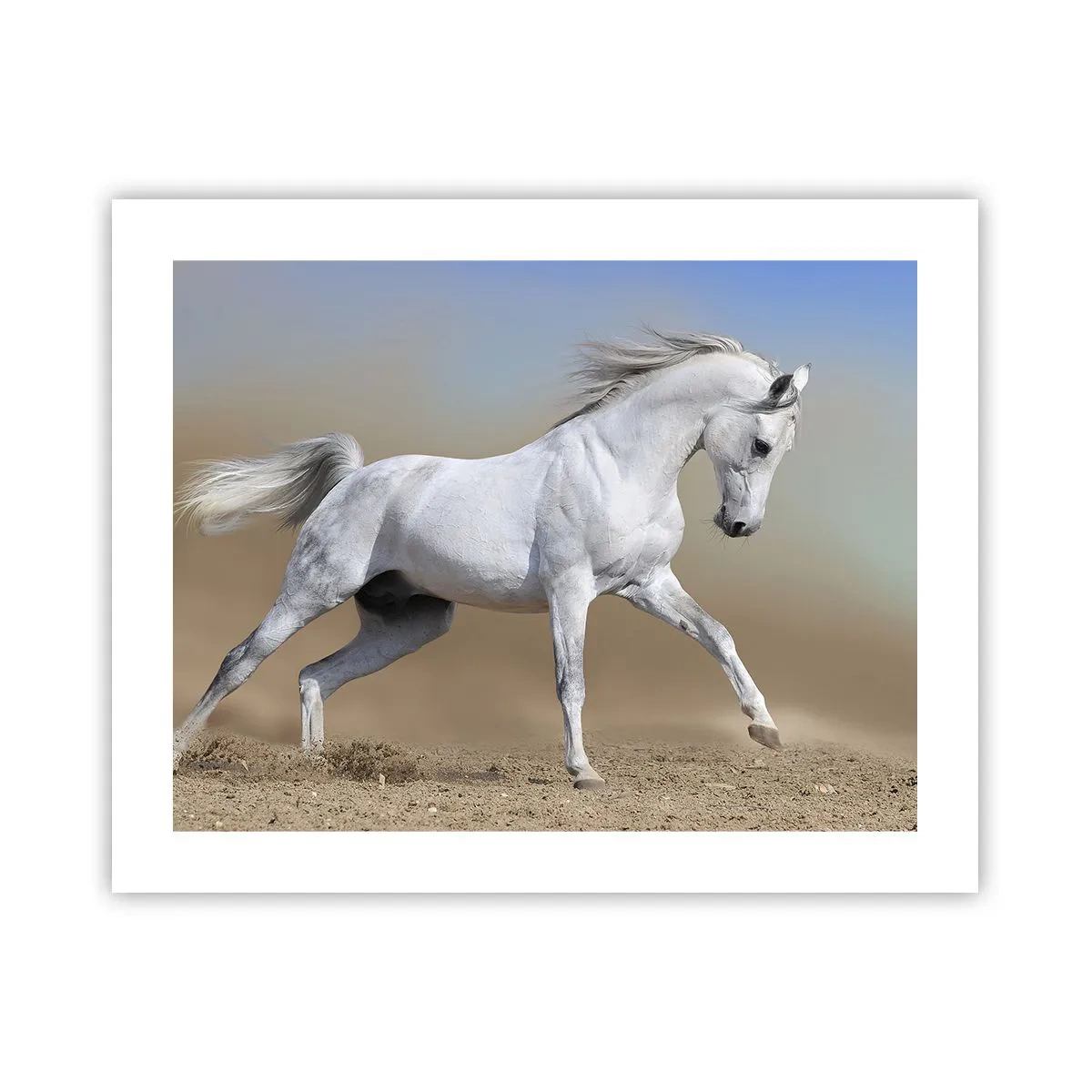 Poster - Het mooiste Arabische sprookje - 50x40 cm