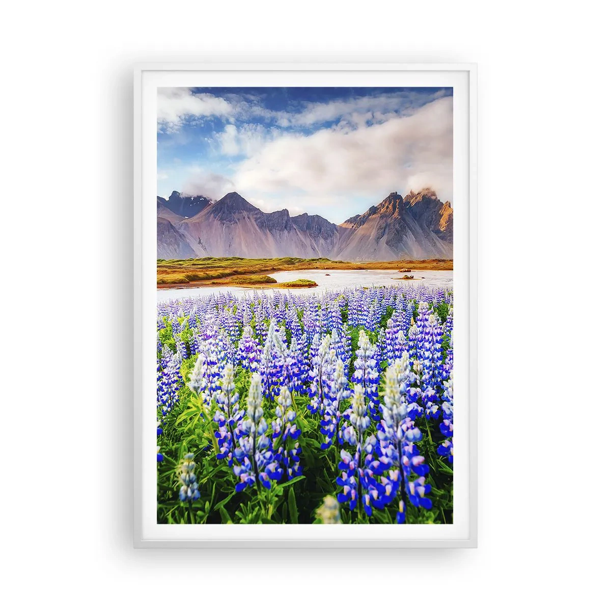 Poster in een witte lijst - Kracht en soberheid naast zachtheid - 70x100 cm
