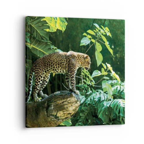 Schilderen op canvas - Op jacht? - 30x30 cm