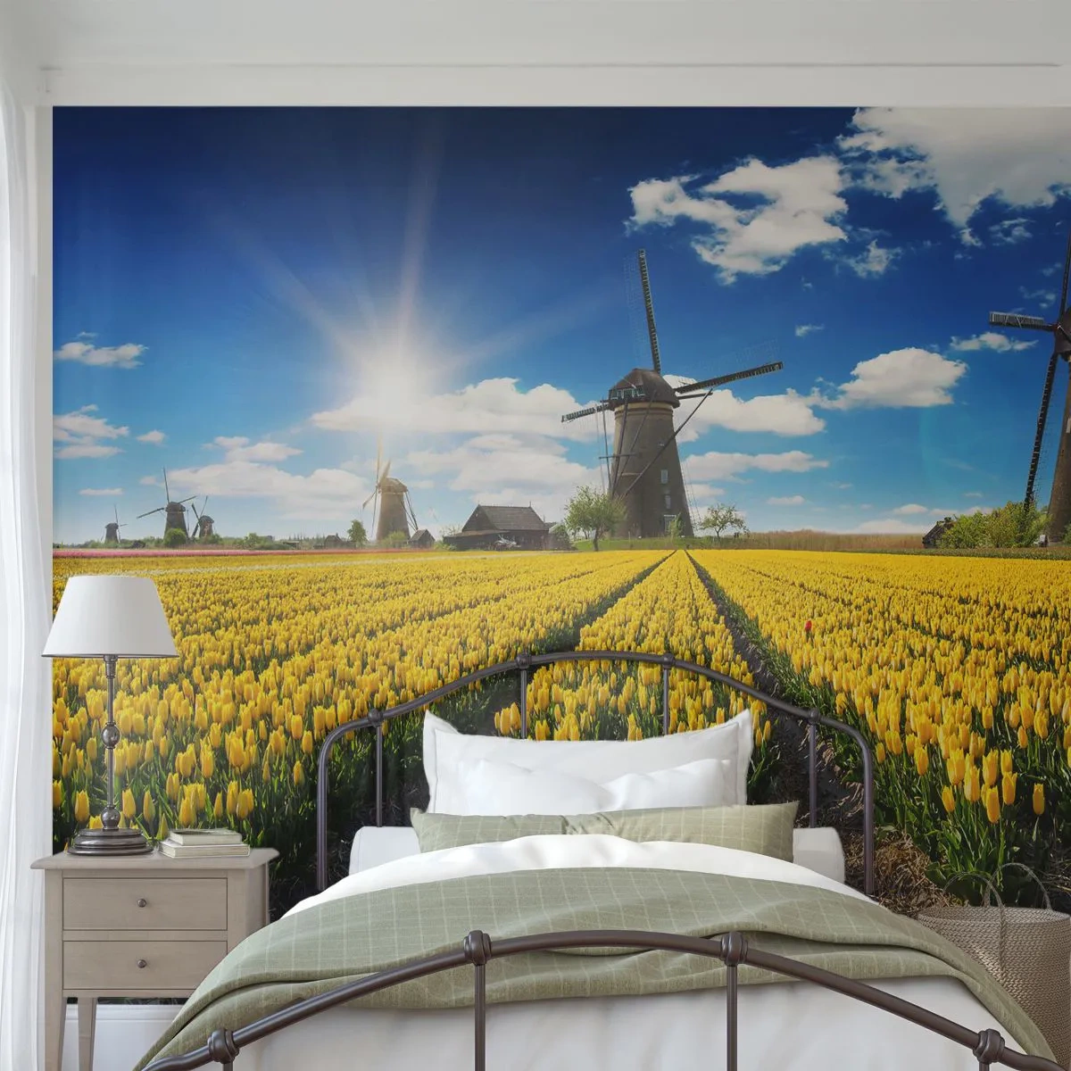 Fotobehang Standard Eco - Hollandser kan het niet - Landschap, Fan, Tulpen - 500x350 cm