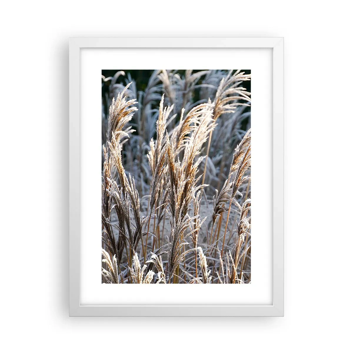 Poster in een witte lijst - Gekleed met vorst - 30x40 cm