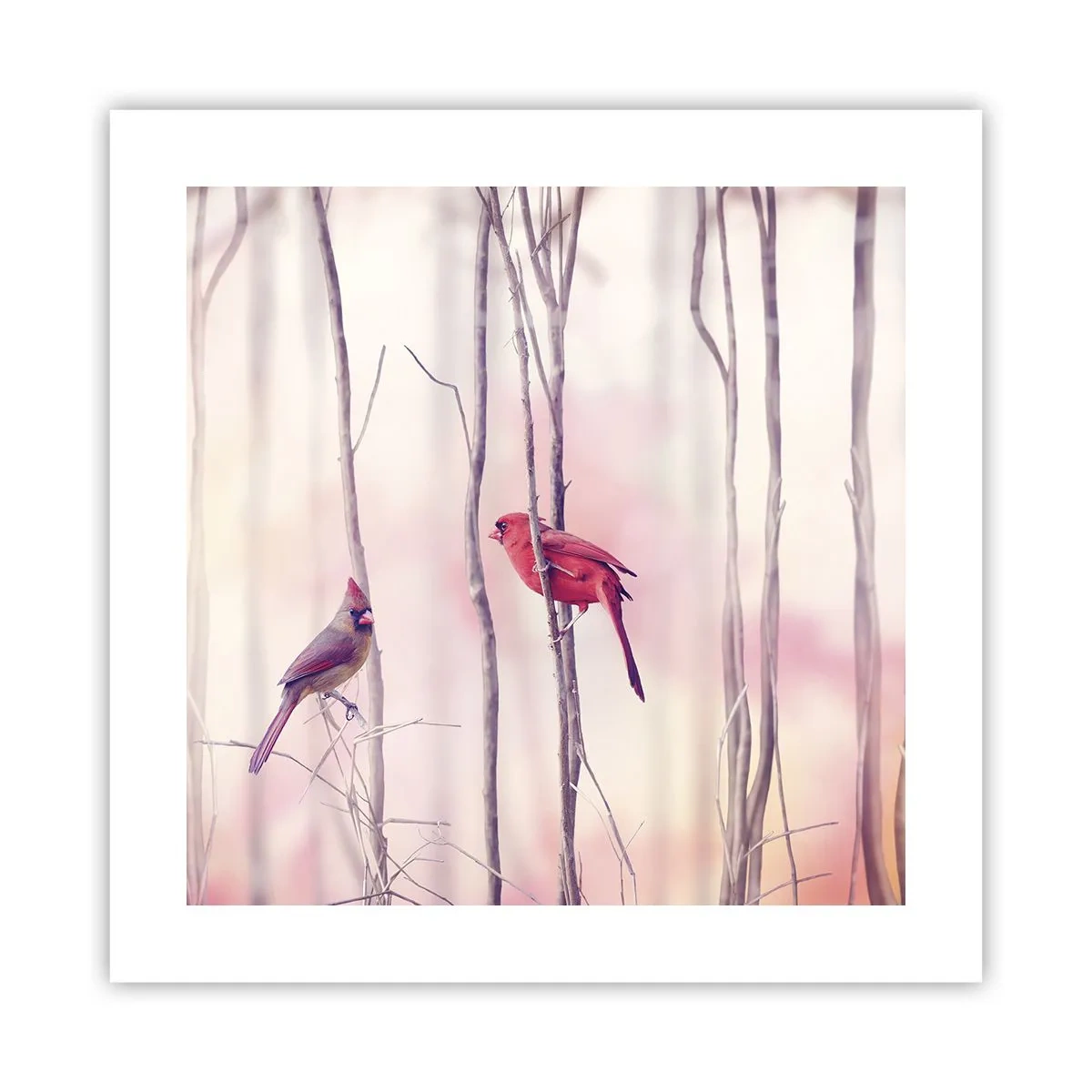 Poster - Verhaal van het roze woud - 40x40 cm