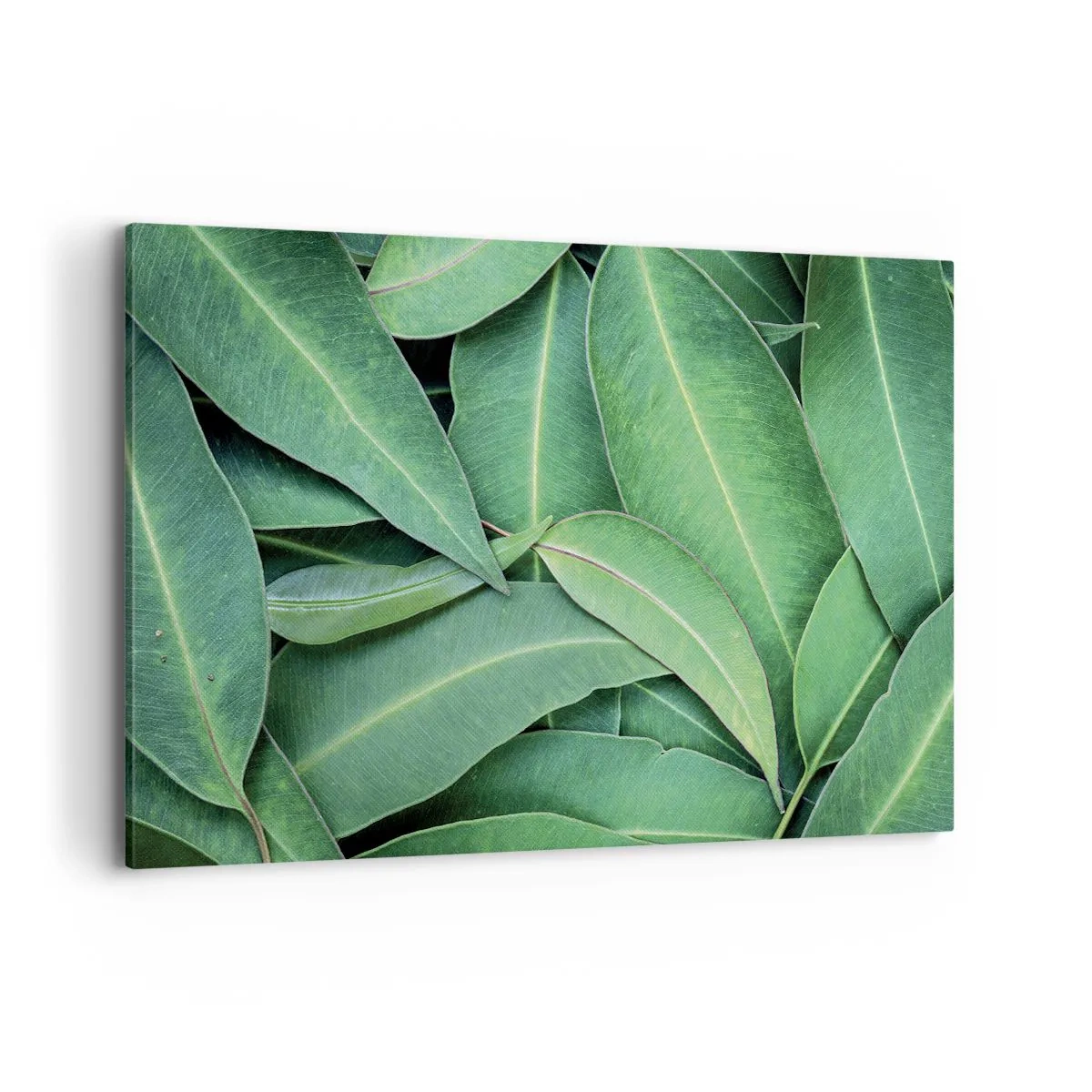 Schilderen op canvas - Sappig en fris - 120x80 cm