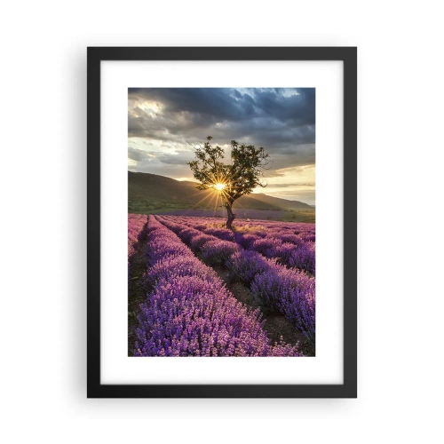 Poster in een zwarte lijst - Lila gekleurd aroma - 30x40 cm