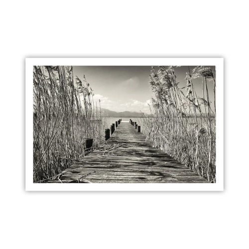 Poster - In de stilte van het gras - 91x61 cm