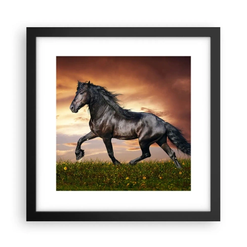 Poster in een zwarte lijst - Zwarte Prins - 30x30 cm