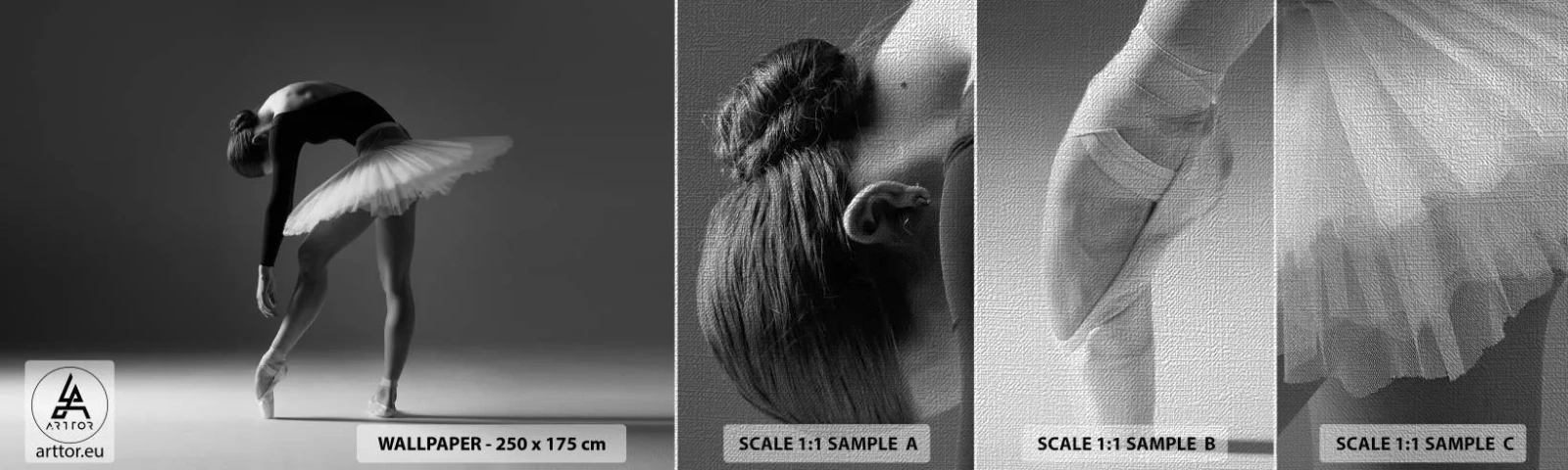 Fotobehang Monster Premium Canvas - Bella ballerina - Ballerina, Ballet, Dans - 100x30 cm