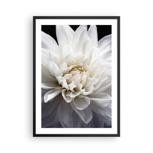 Poster in een zwarte lijst - Close-up van een witte dahlia tegen een donkere achtergrond - 50x70cm - Ochtend van de bruid - Moderne wanddecoratie voor woonkamer en slaapkamer ARTTOR
