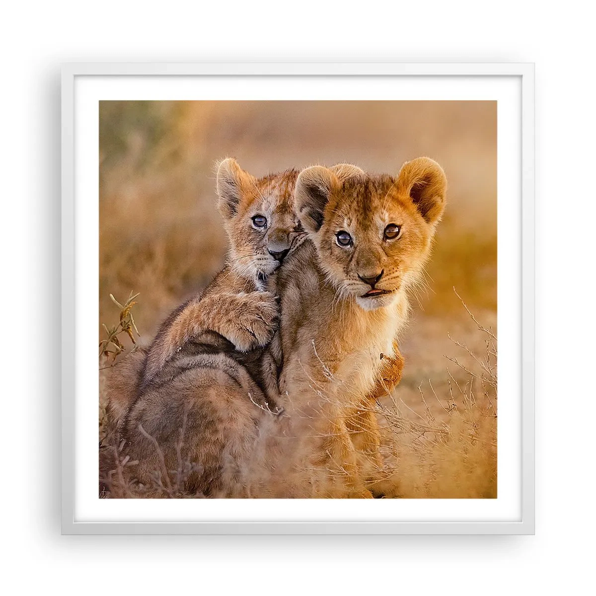 Poster in een witte lijst - Niet storen! We hebben plezier - 60x60 cm