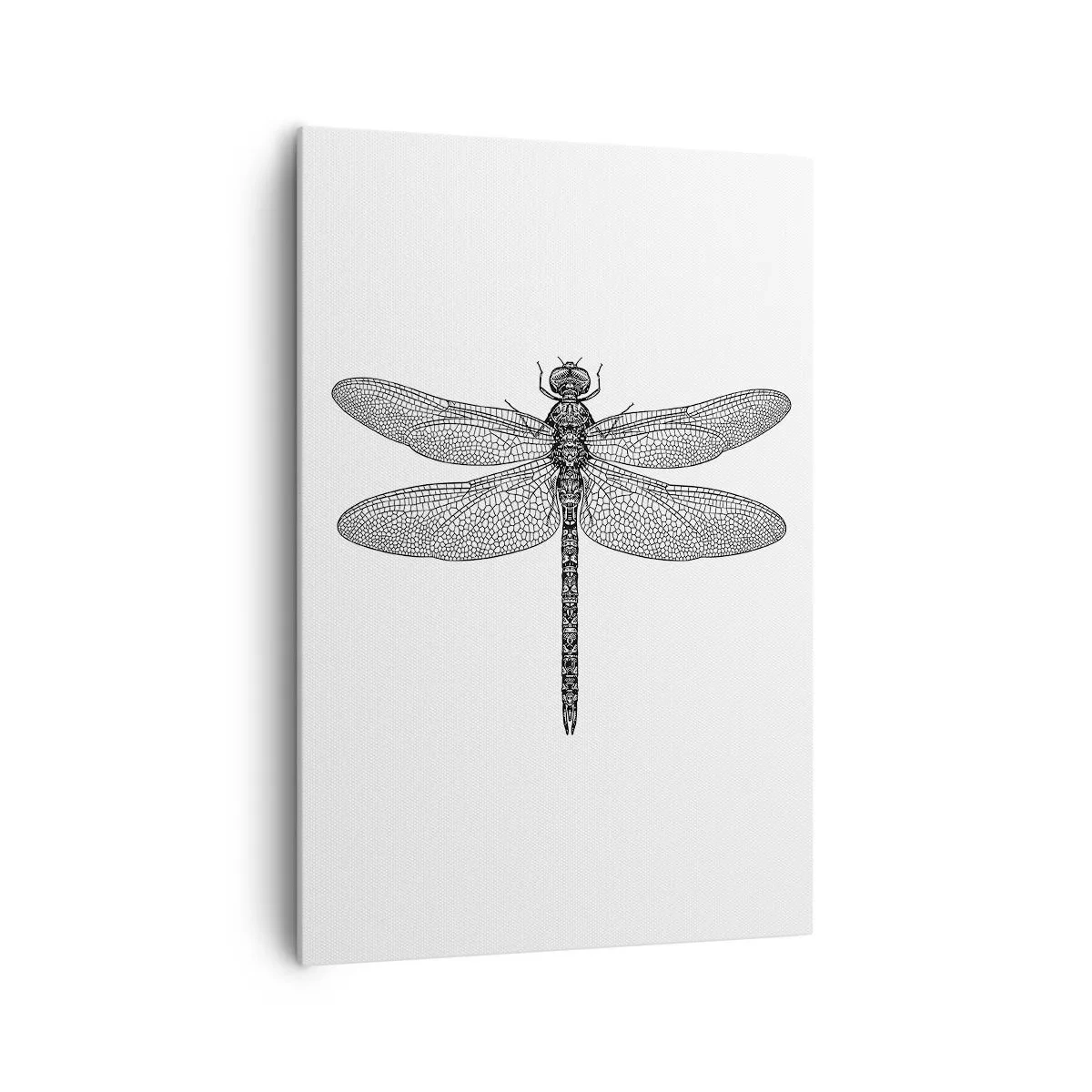 Schilderen op canvas - Precisie van de natuur - 70x100 cm