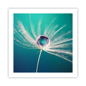 Poster - Mystiek moment - 50x50 cm