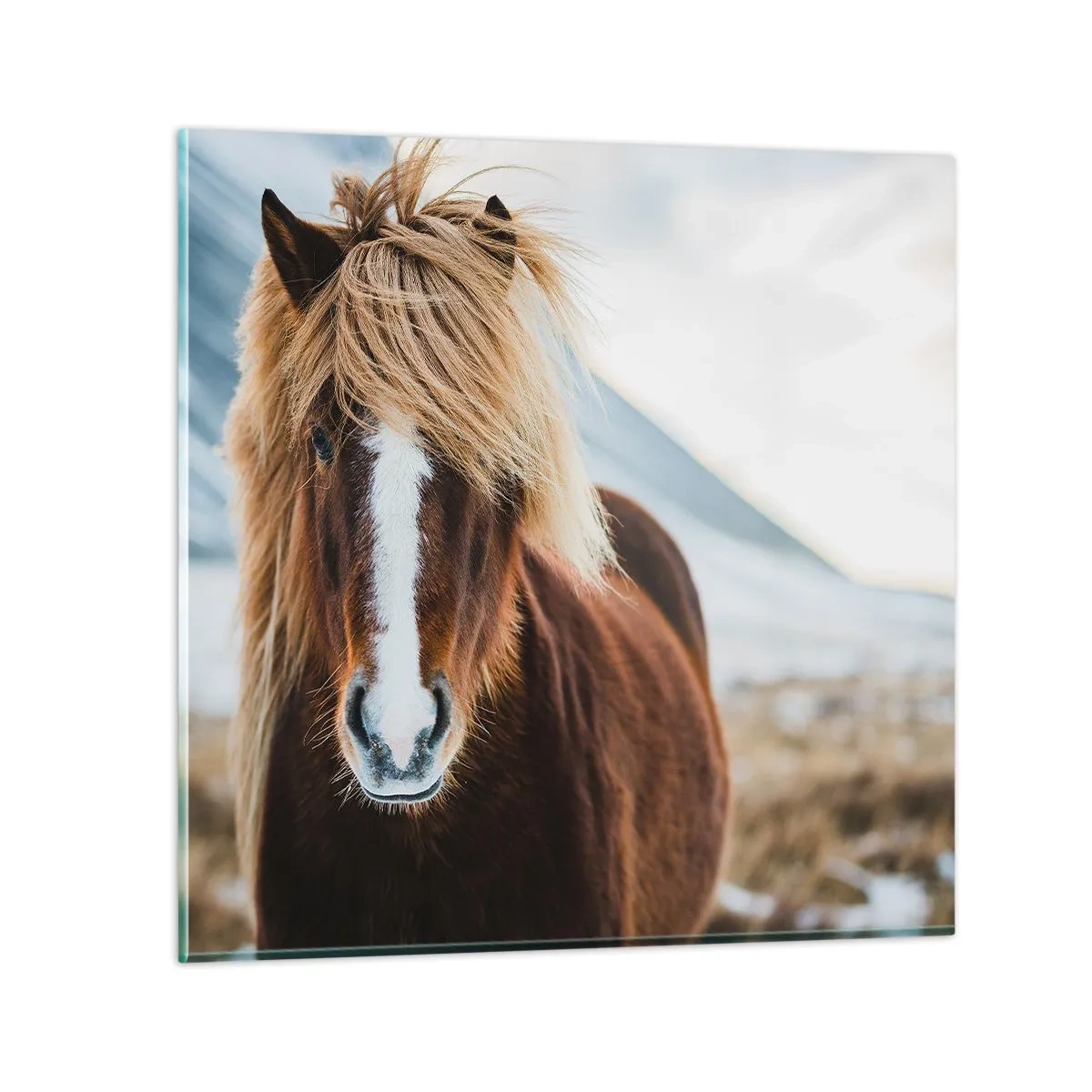 Schilderen op glas - Voel jij je vrij? - 70x70 cm
