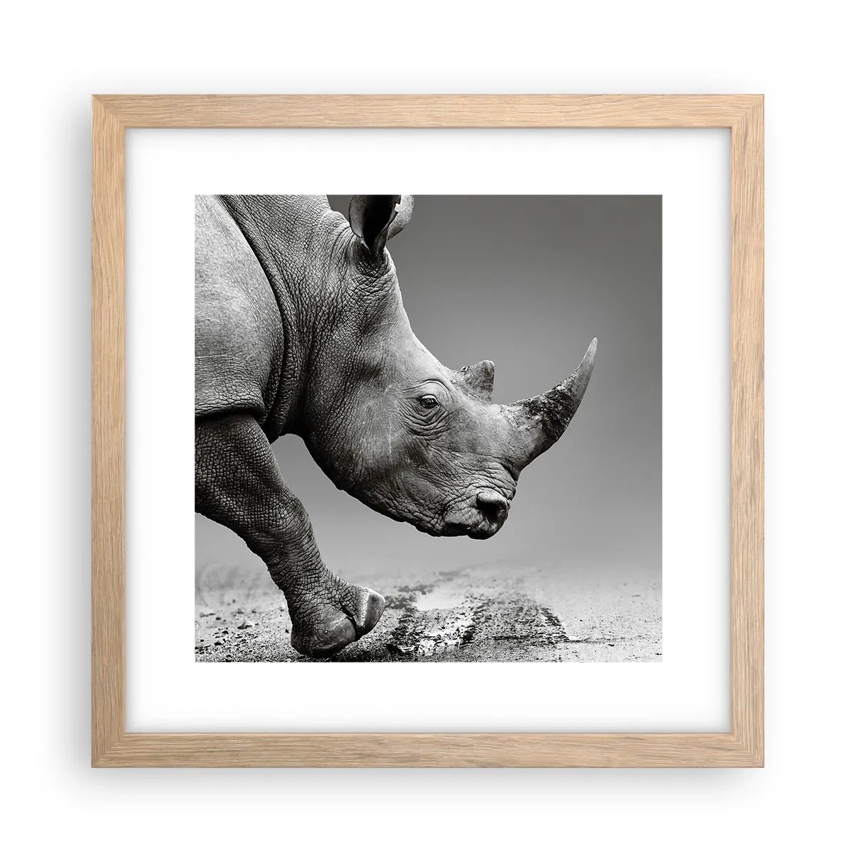 Een poster in een licht eiken lijst - Onstuitbare kracht - 30x30 cm