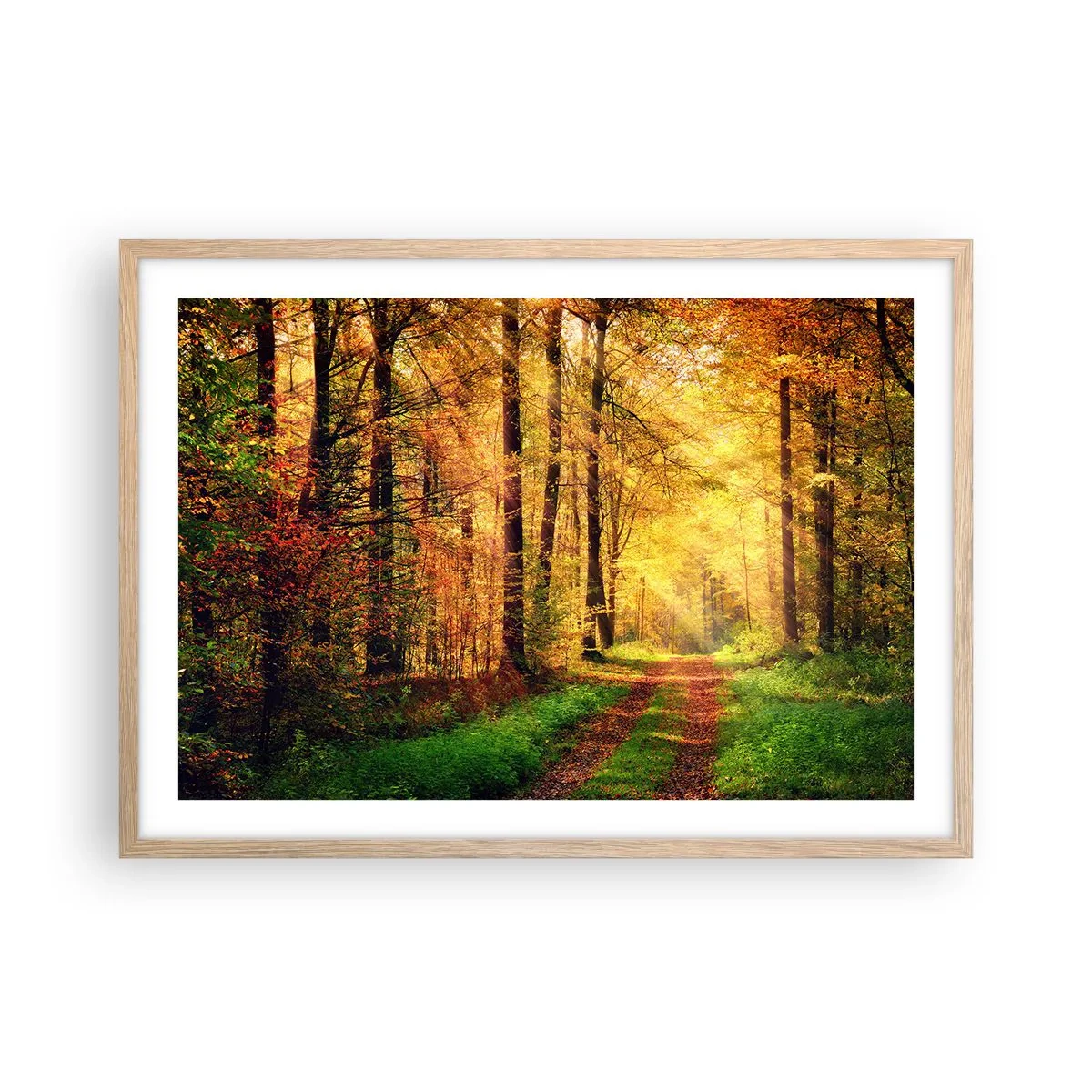 Een poster in een licht eiken lijst - Bos-gouden stilte - 70x50 cm