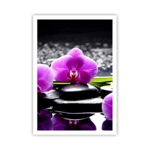 Poster - Verdrinken in rust en stilte  - 70x100 cm